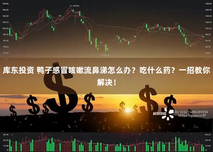 库东投资 鸭子感冒咳嗽流鼻涕怎么办？吃什么药？一招教你解决！